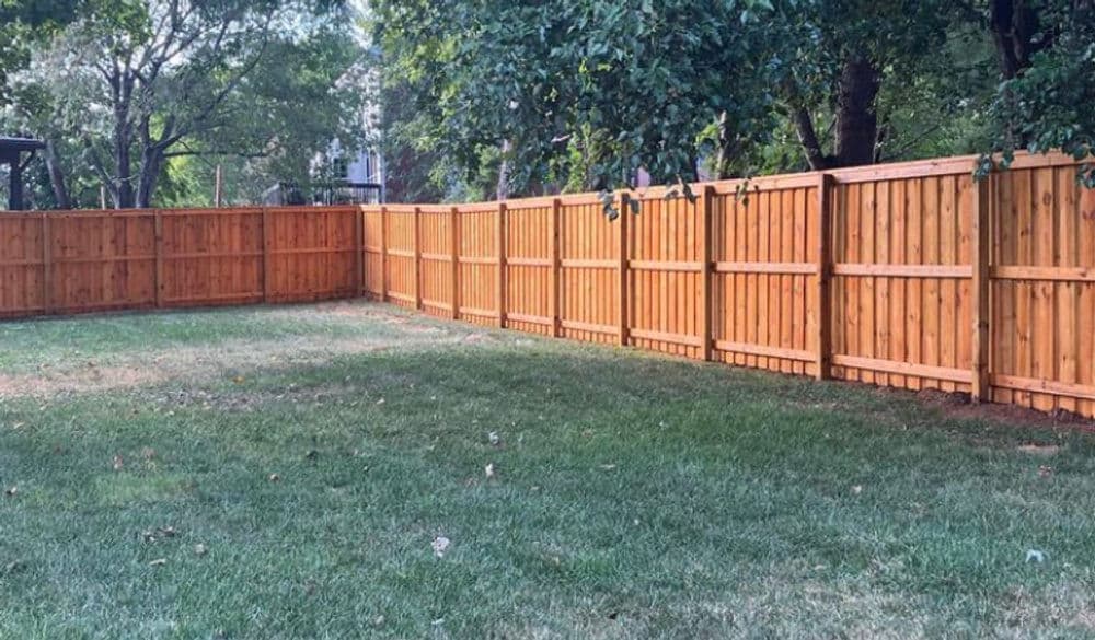 Wooden privacy fence enclosing a grassy yard with trees in the background. Ideal for homeowners.