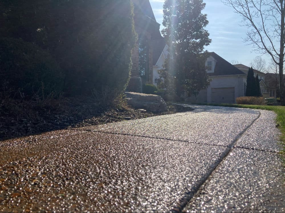 Water glistens on a sunlit concrete sidewalk lined with greenery in a residential neighborhood.