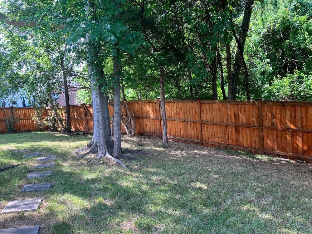 Lush backyard with wooden fence, trees, and stone path under bright sunlight.