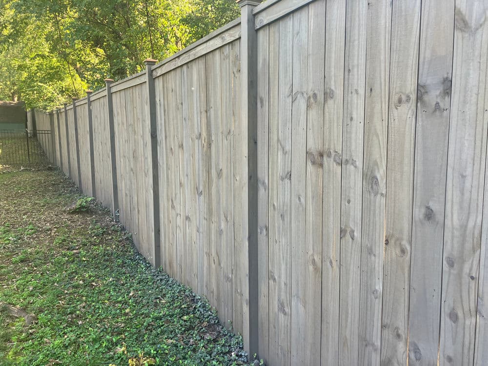 Wooden fence along a grassy yard with greenery in the background.
