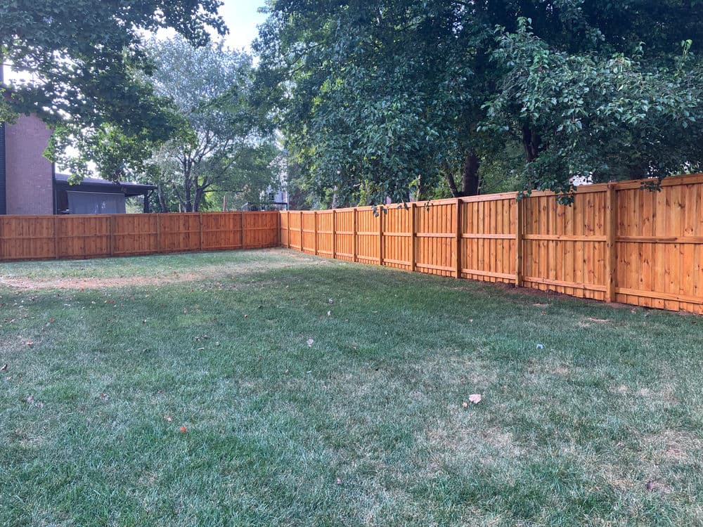 Wooden fence surrounding a grassy yard, with trees and a clear blue sky in the background.