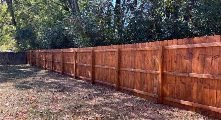 Wooden fence in a yard surrounded by trees and greenery, highlighting outdoor space.