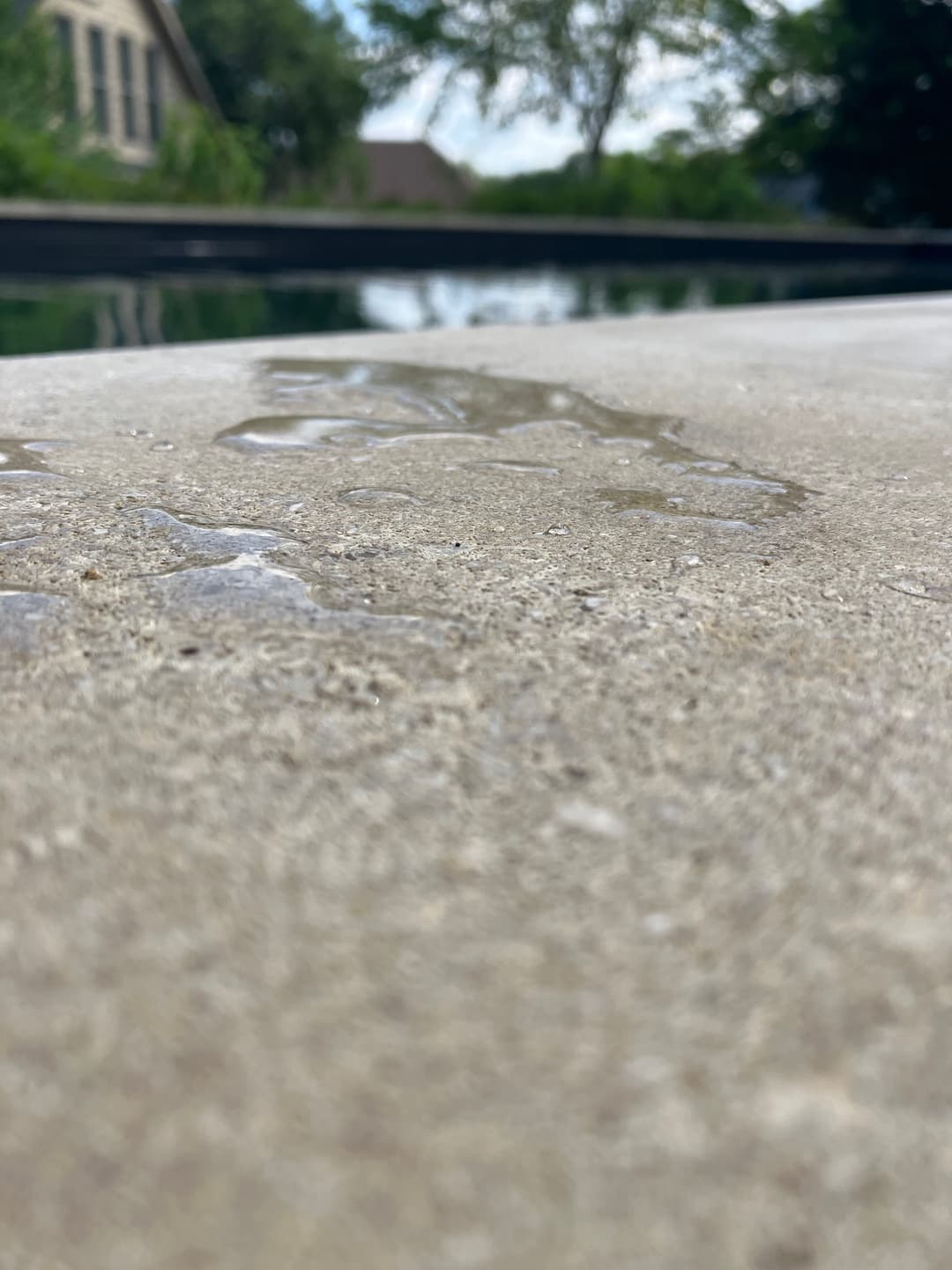 Close-up of wet concrete poolside with water droplets reflecting sunlight. Background features greenery.