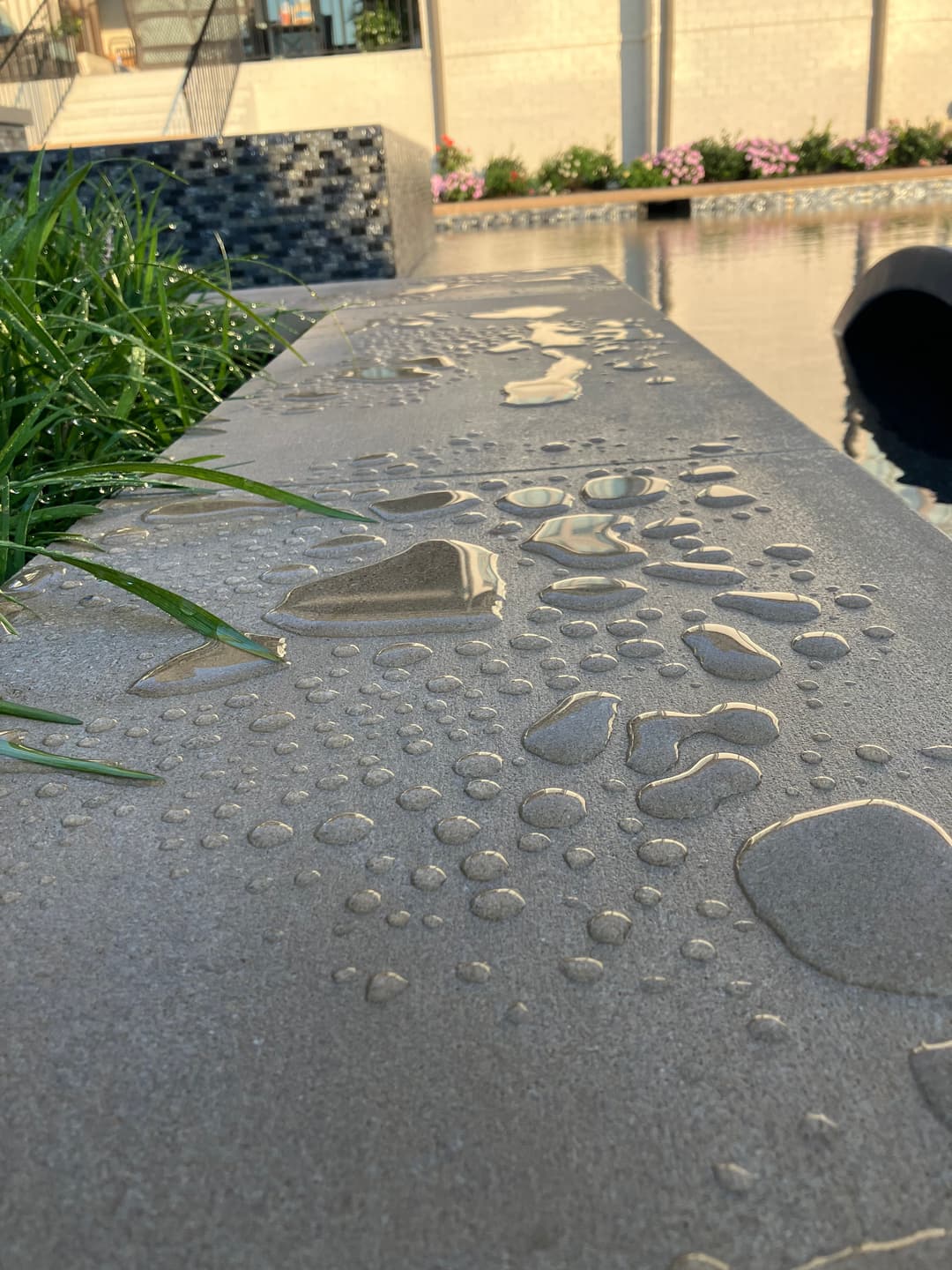 Water droplets on a concrete edge beside a pool, with green grass in the foreground.