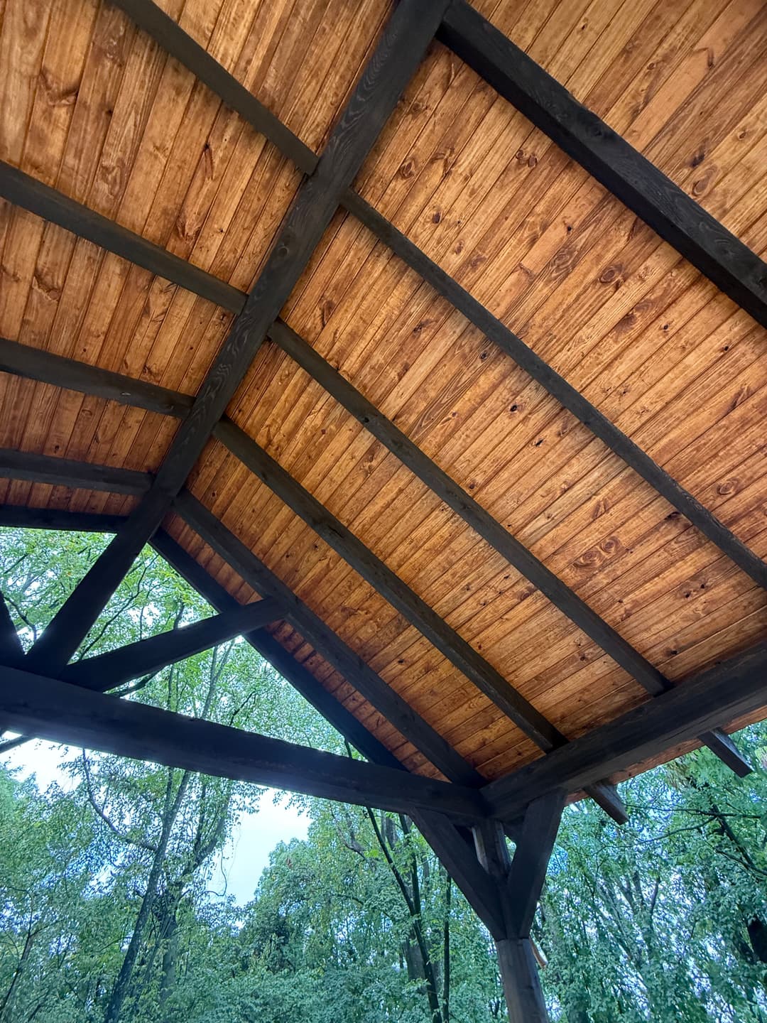 Wooden ceiling beams of a rustic pavilion surrounded by greenery.