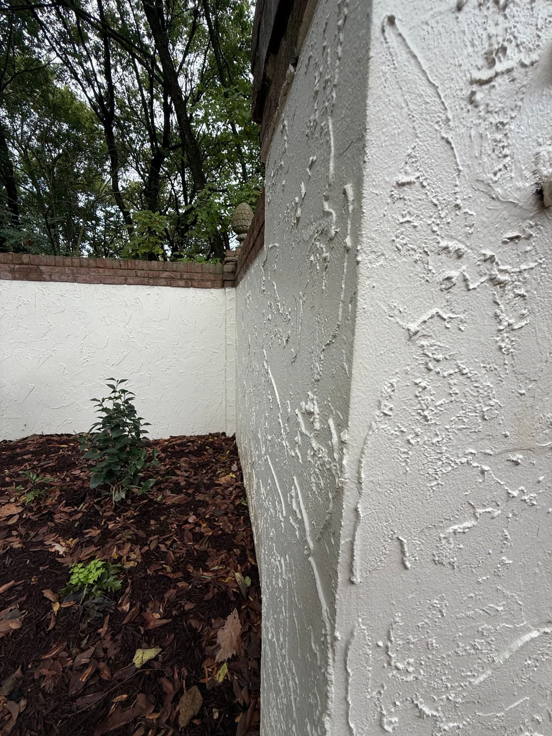 Textured white wall with a landscaped corner featuring plants and mulch in a serene outdoor setting.