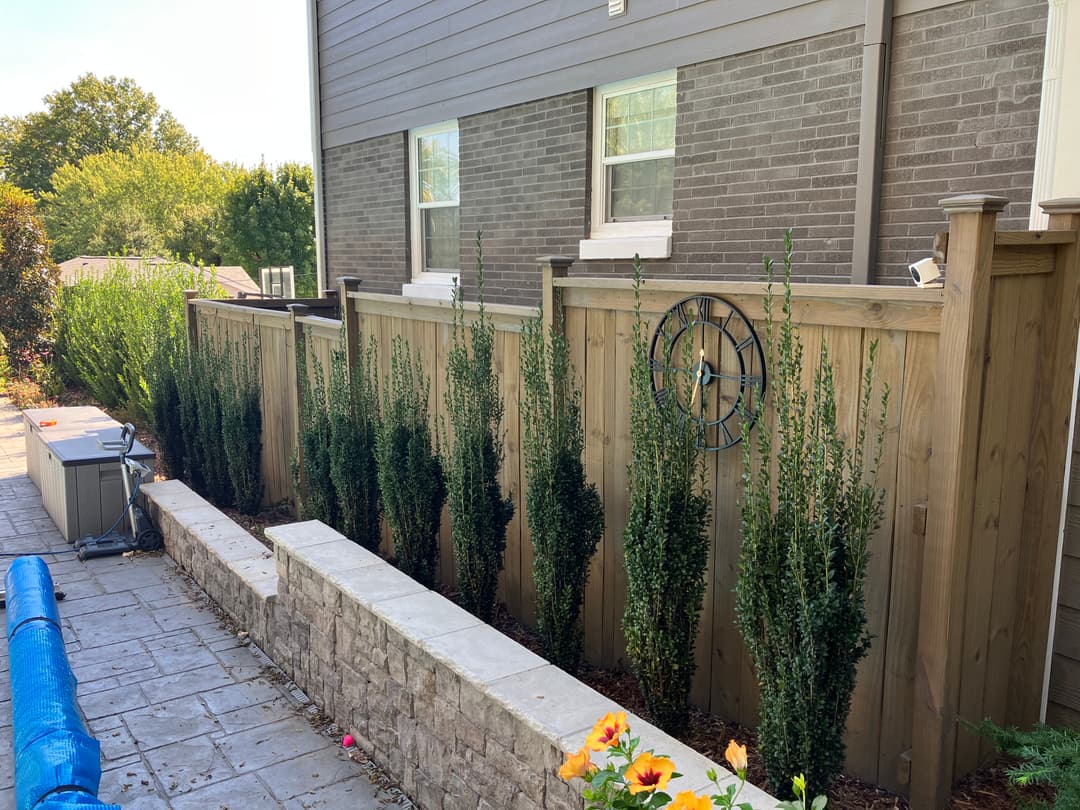 Landscape featuring a wooden fence with tall shrubs and a stone wall in a residential area.