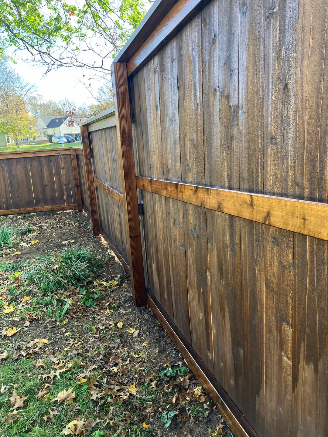 Wooden backyard fence with a warm finish, surrounded by autumn leaves and grass.