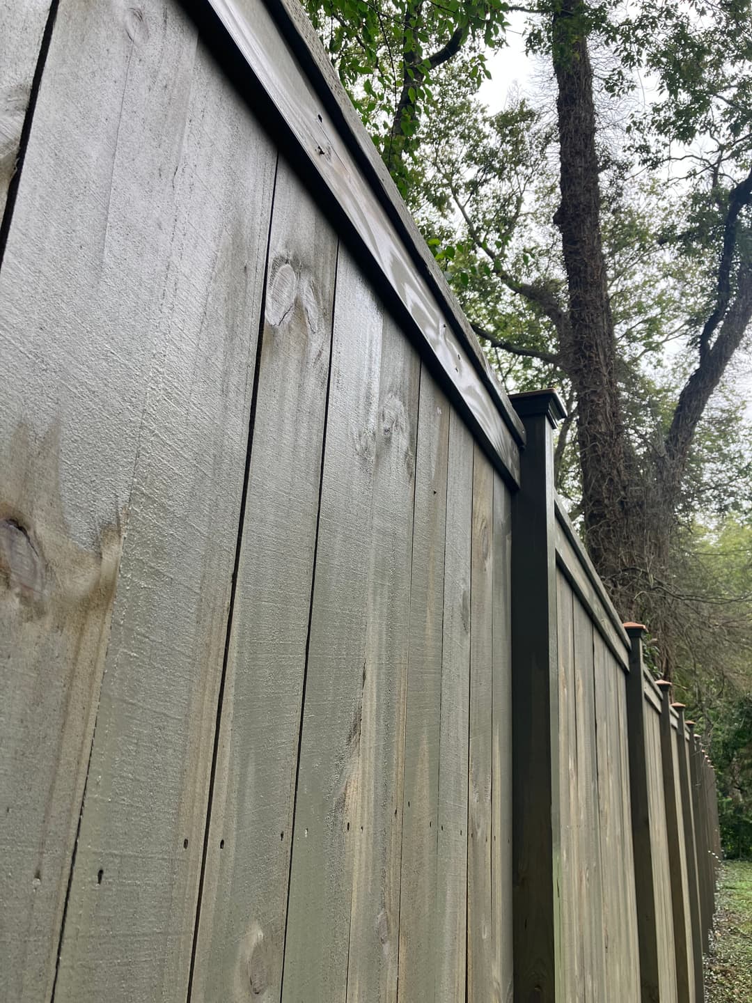 Vertical wooden fence with a natural finish, surrounded by trees and greenery.