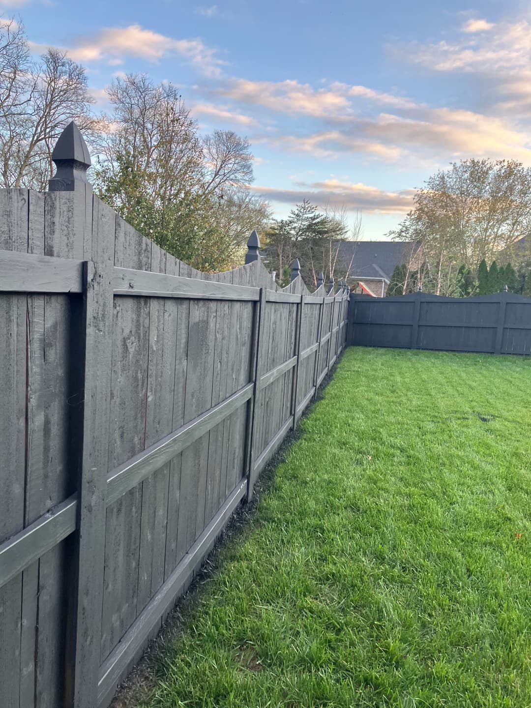 Black wooden fence with pointed tops surrounding a green grassy yard under a blue sky.